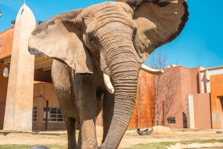 Entrada para el Zoológico y Acuario de Colonia, Toledo
