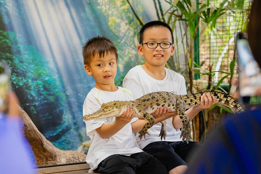 Tiket Petualangan Buaya Langkawi, at Crocodile Adventureland Langkawi, Langkawi