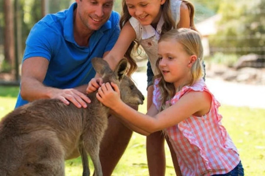 Paradise Country: Authentic Aussie Farm Experience, at Paradise Country, Oxenford