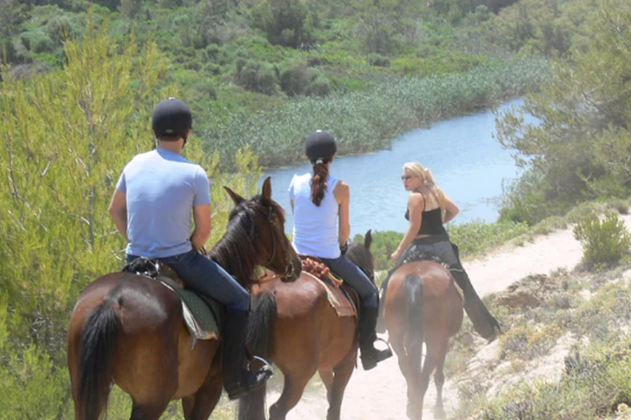 Paseo a Caballo en la Playa de Mallorca, at Rancho Can Picafort, Mallorca