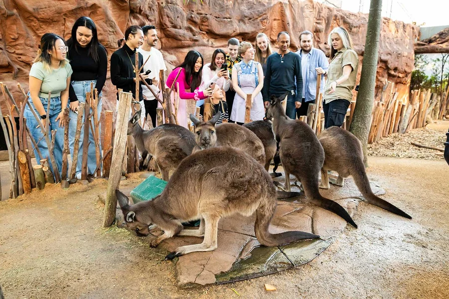 Breakfast with Koalas Tickets at WILD LIFE Sydney Zoo, Sydney