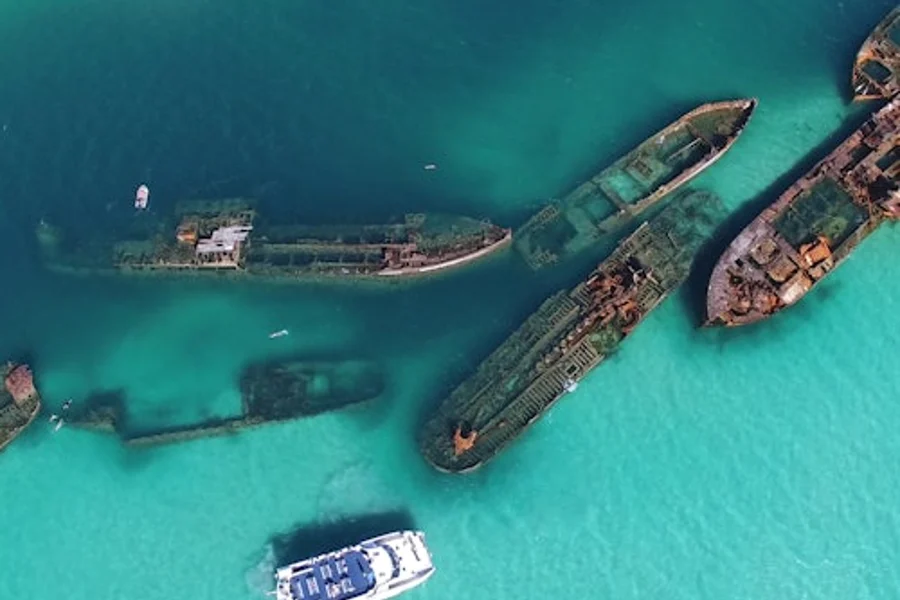 Brisbane'dan Tangalooma Batıkları ve Yunus Turu, Moreton Island