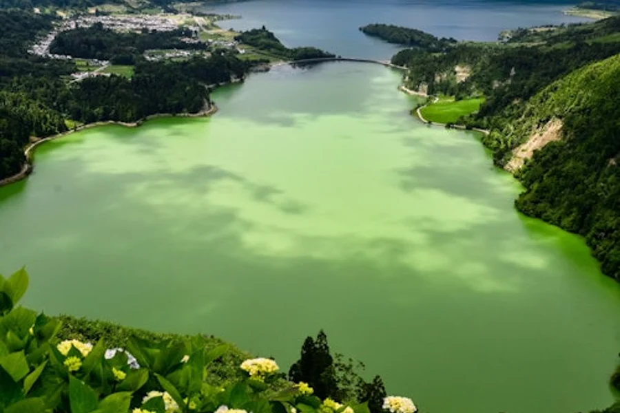 São Miguel Island: Full-Day Sete Cidades Guided Tour + Transfers, Ponta Delgada
