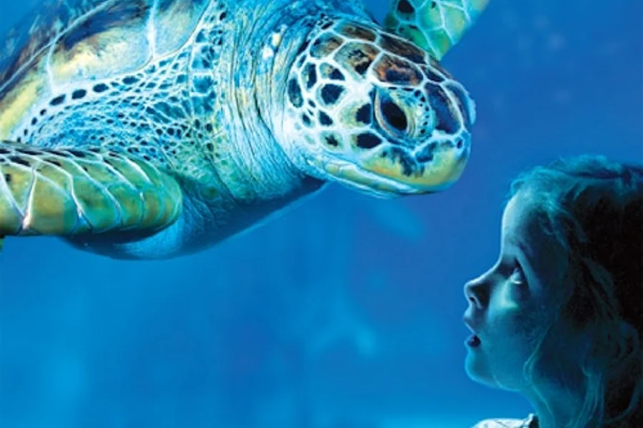 SEA LIFE Oberhausen: Toegangsticket, Benalmadena