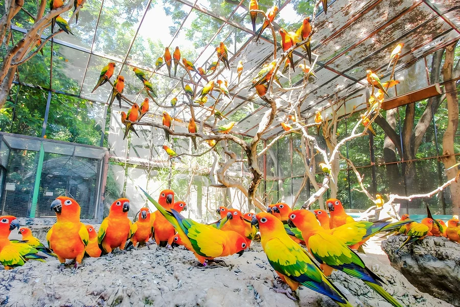 野生動物園門票包括印度或國際自助餐午餐, Bangkok