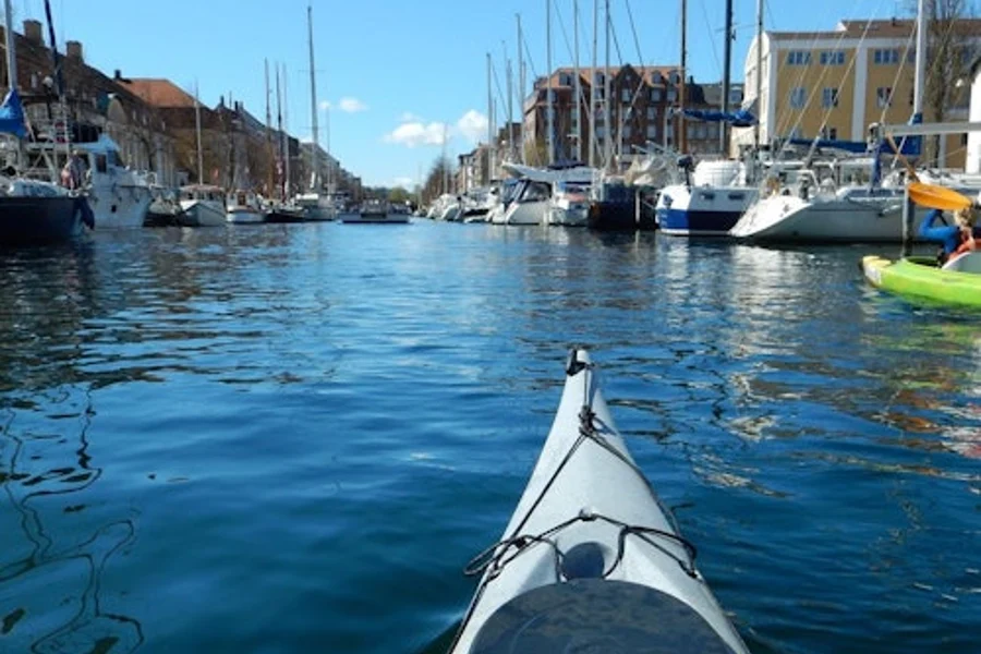 Copenhagen: Harbor Guided Kayak Tour, Copenhagen