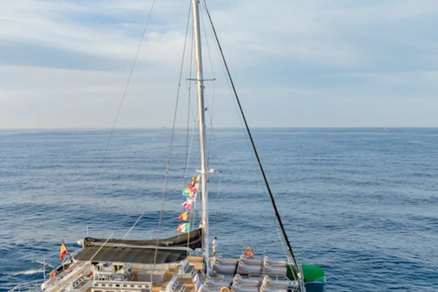 Tenerife: Excursão de Observação de Baleias e Golfinhos de 3 Horas, at Tenerife Sailing Tours, Costa Adeje