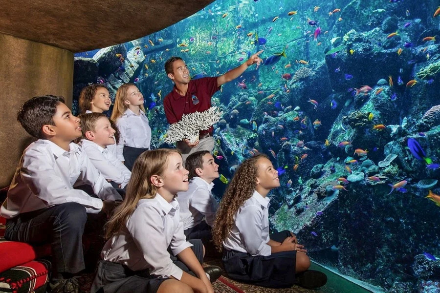 The Lost World Aquarium Tickets (Formerly The Lost Chambers), Dubai