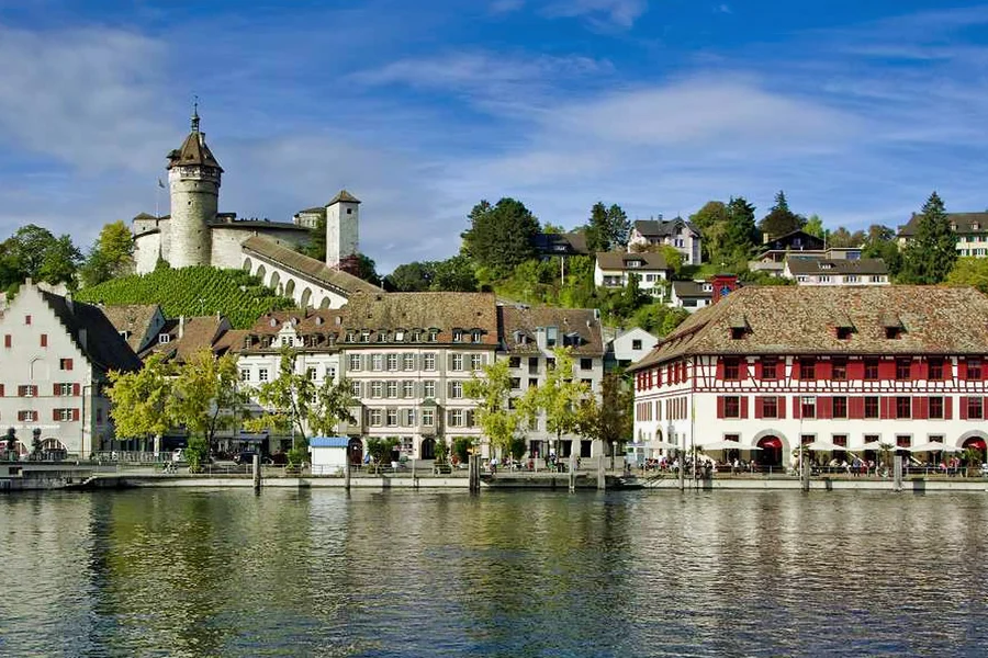 Chuyến tham quan hướng dẫn 4 giờ thác Rhine & Lâu đài Laufen từ Zürich, Zurich