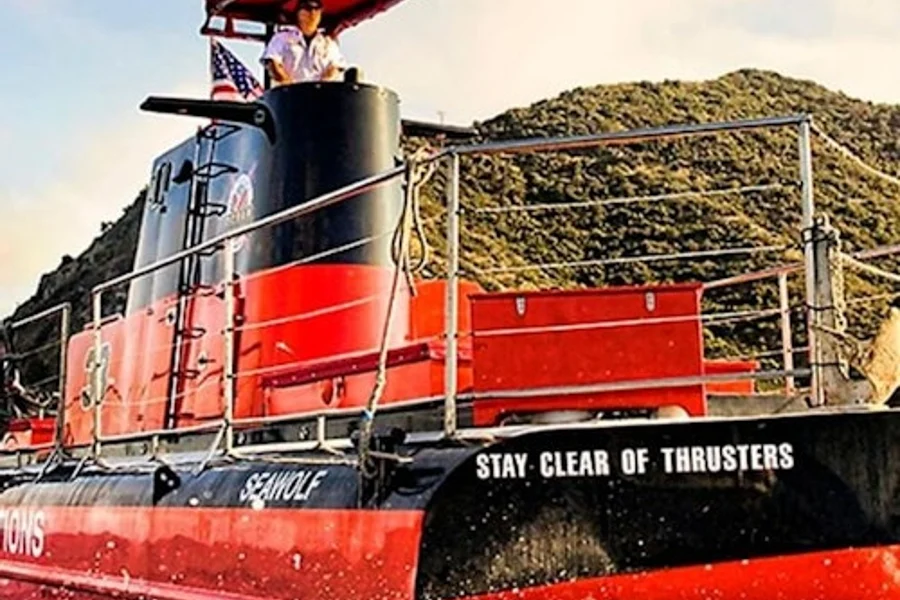 Catalina Island: Day Trip with Undersea Sub Expedition, Los Angeles