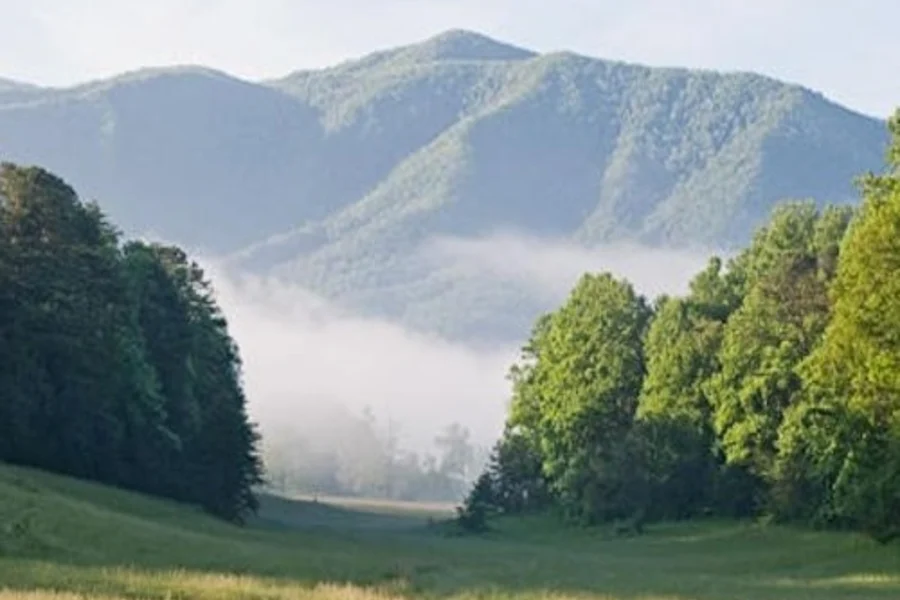 Sights of the Smokies: Full Day Tour, at Smoky Mountains Day Trips from Pigeon Forge, Pigeon Forge