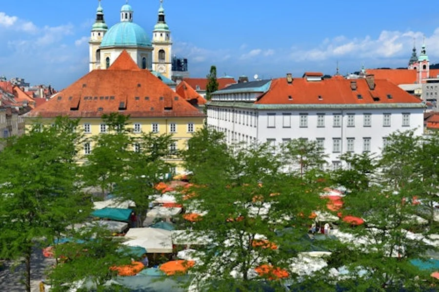 ल्युब्लियाना सिटी सेंटर और ल्युब्लियाना कैसल: मार्गदर्शित दौरा, Ljubljana