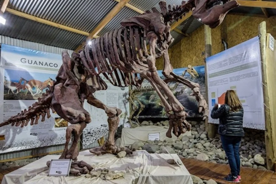 Punta Walichu: 導賞之旅 + 來回接送, at Day Trips from El Calafate, El Calafate
