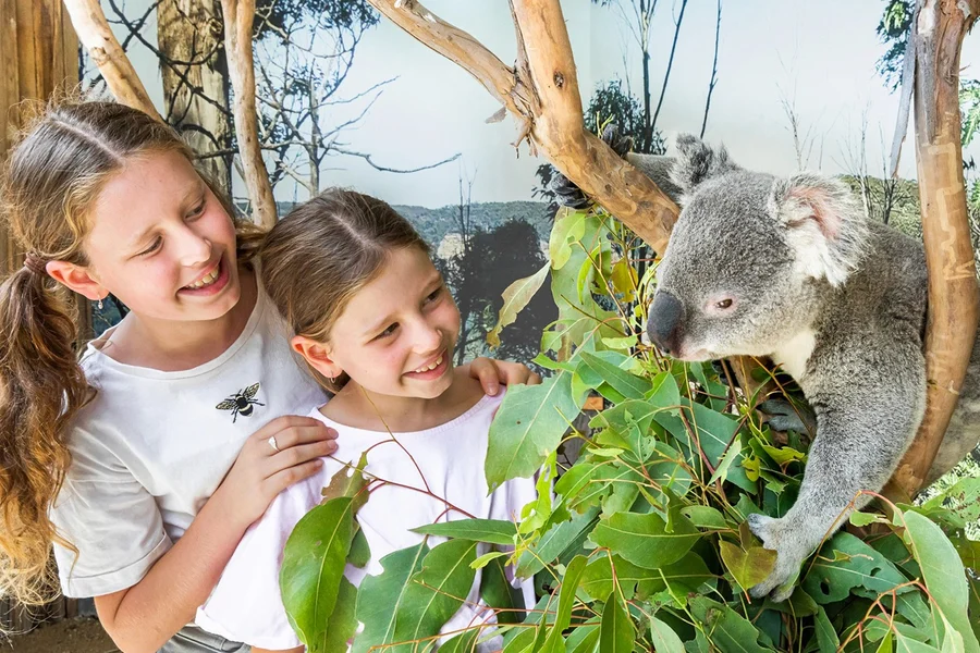 Blue Mountains Tour with Scenic World & Sydney Zoo, Sydney