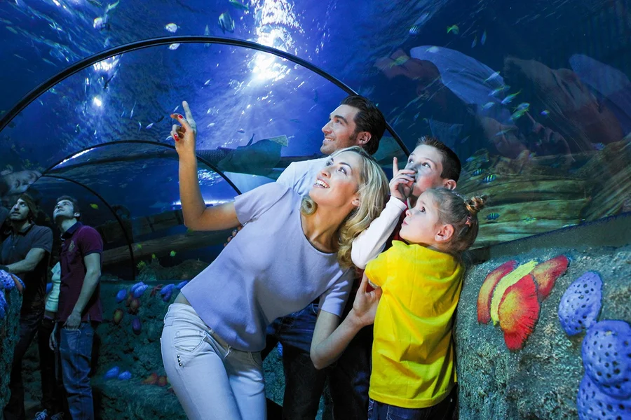 Gardaland Sea Life Aquarium Entry Tickets, Verona