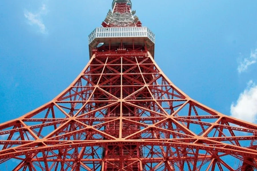 Tokio: Półdniowa Wycieczka Autobusowa z Przewodnikiem + Wejście na Punkt Widokowy Wieży Tokijskiej, Tokyo