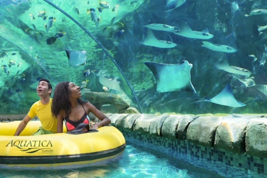 圣安东尼奥 Aquatica 快速通道票, San Antonio