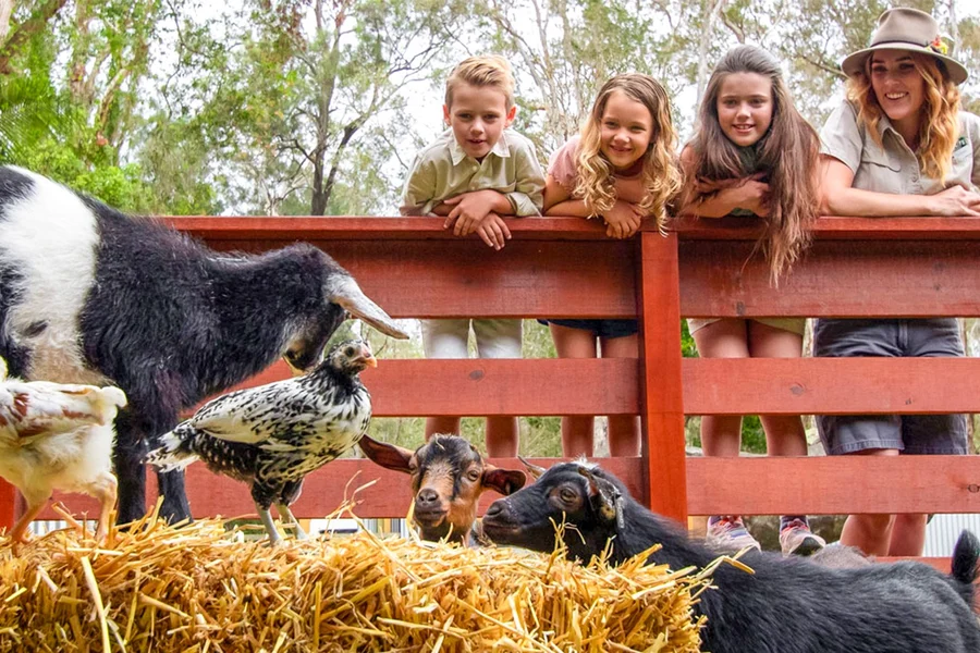 Currumbin Wildlife Sanctuary Tickets, Gold Coast