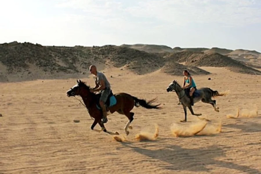 Marsa Alam: Desert and Sea Horseback Adventure, Marsa Alam