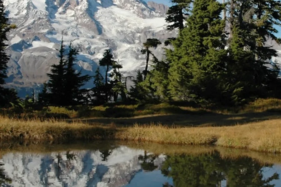 Mt. Rainier: Alles-Inclusief Kleine Groep Dagtrip vanuit Seattle, Seattle