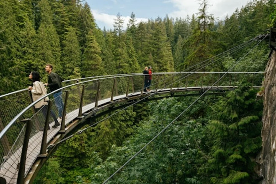 Capilano Suspension Bridge Park: Entry Ticket, Vancouver