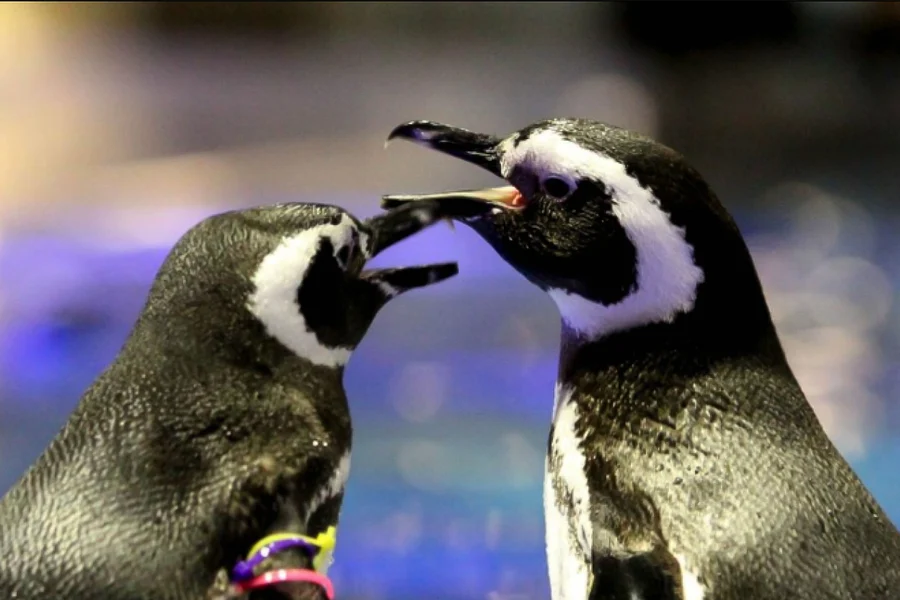 すみだ水族館チケット, at Sumida Aquarium, Tokyo