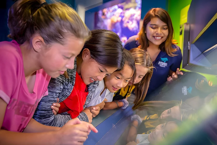 Aquarium of the Pacific Skip-the-Line Tickets, at Aquarium of the Pacific, Los Angeles