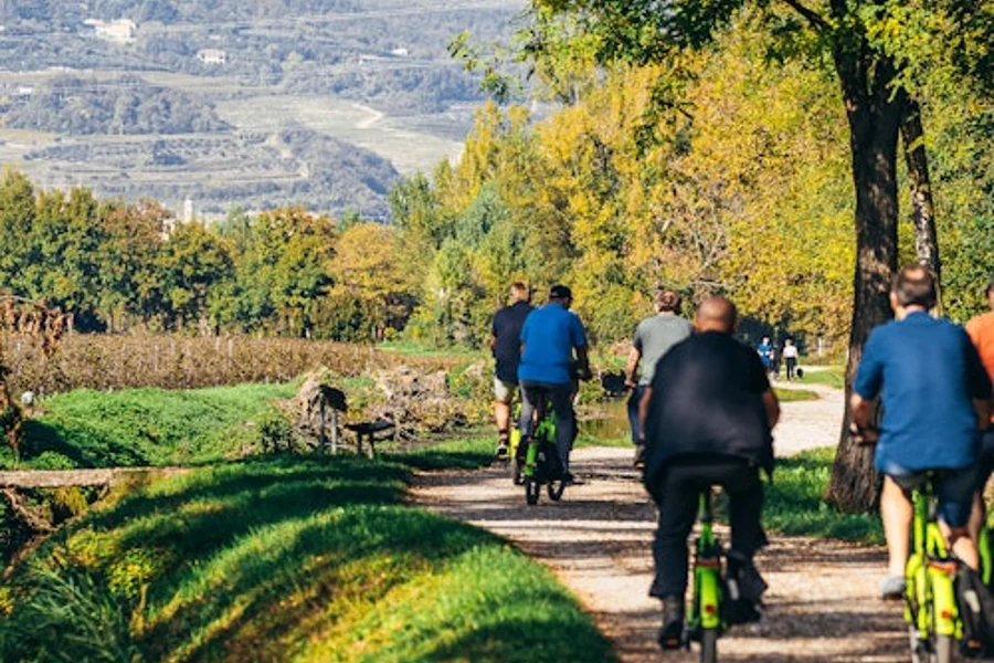 Amarone Wine e-Bike Tour in Valpolicella, Verona