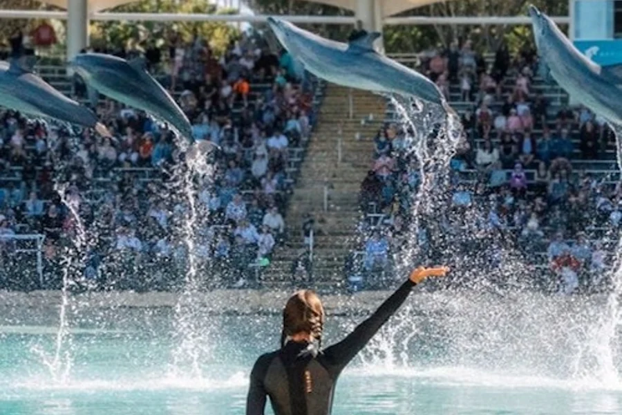 Sea World Single Day Pass Ticket, Main Beach