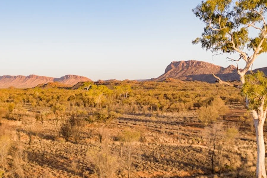 West MacDonnell Ranges: Guided Tour + Roundtrip Transfer + Lunch, Alice Springs