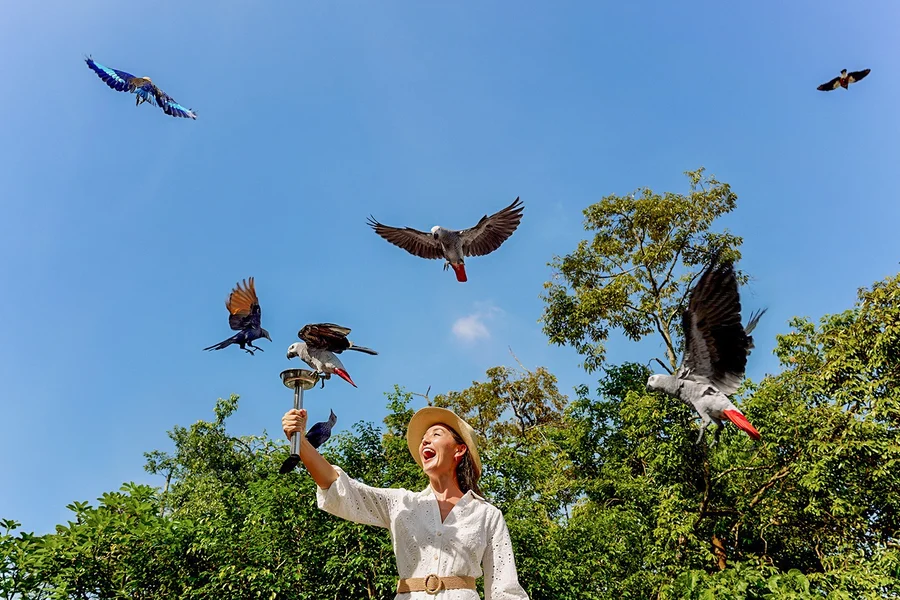 Mandai Wildlife Destination Pass, Singapore