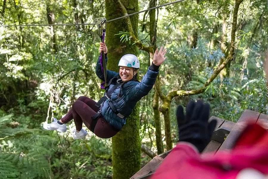 Rotorua Forest Zipline Experience, Rotorua