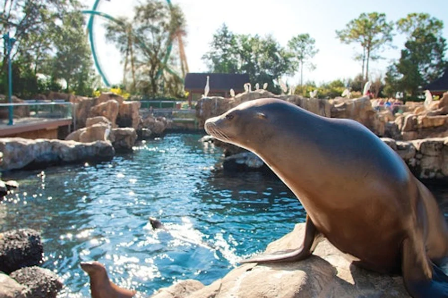 SeaWorld Orlando: Entry Ticket + Optional All-Day Dining Deal, Orlando