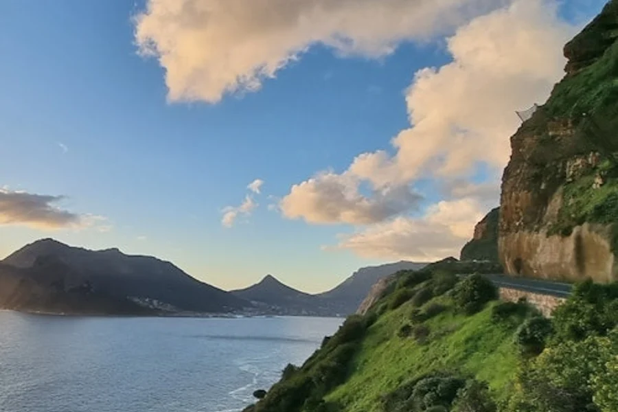 كيب بينينسولا: جولة إرشادية ليوم كامل + غداء + نقل, Cape Town