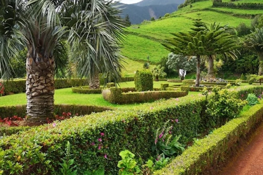 Nordeste: Waterfall, Hot Spring & Viewpoints Guided Tour, Ponta Delgada