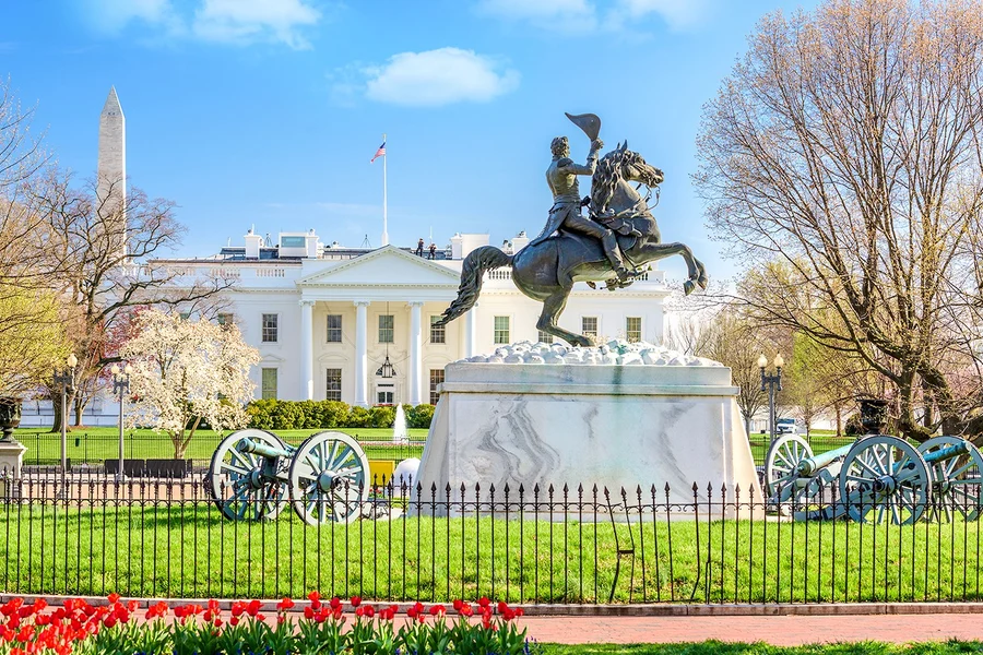 From NYC: Washington DC Day Tour, Washington DC