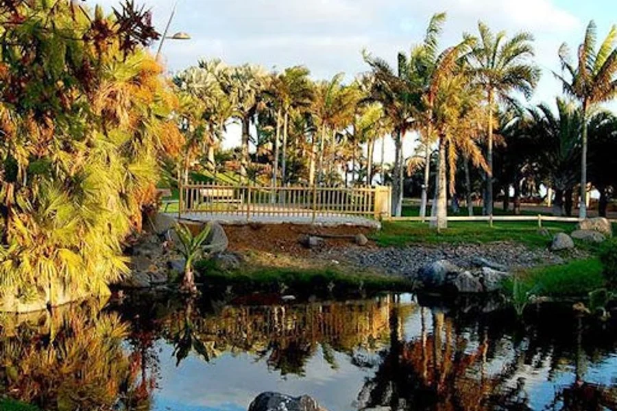 Palmetum of Santa Cruz de Tenerife: Entry Ticket, Tenerife