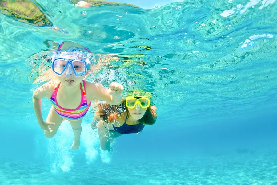 From Sharm El-Sheikh: Diving at Ras Mohamed & White Island with Round-Trip Hotel Transfers, Sharm El Sheikh
