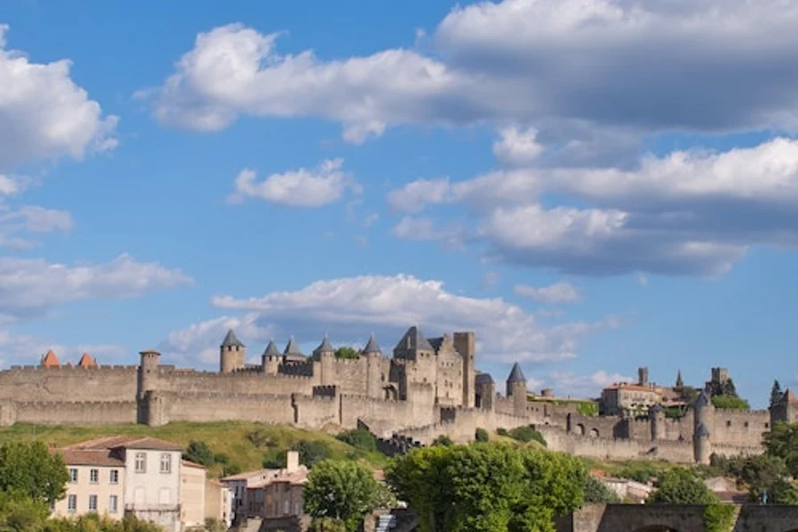 Carcassonne: Day Tour from Toulouse + Audio Guide, Toulouse