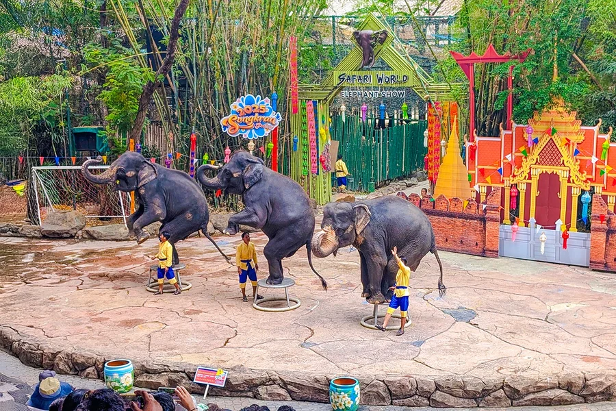 沙菲瑞世界門票連可選的海洋公園和午餐, Bangkok