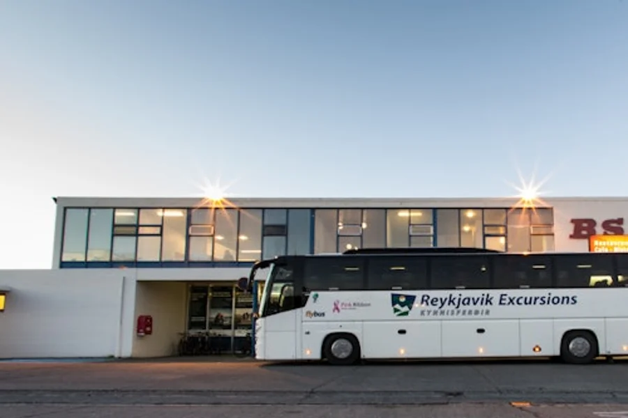 Traslado del Aeropuerto de Keflavik a Reikiavik: Boleto de Ida, Reykjanesbaer