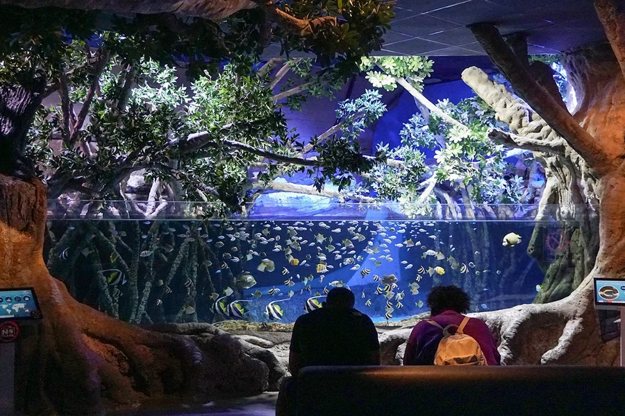 Seville Aquarium Tickets, Seville