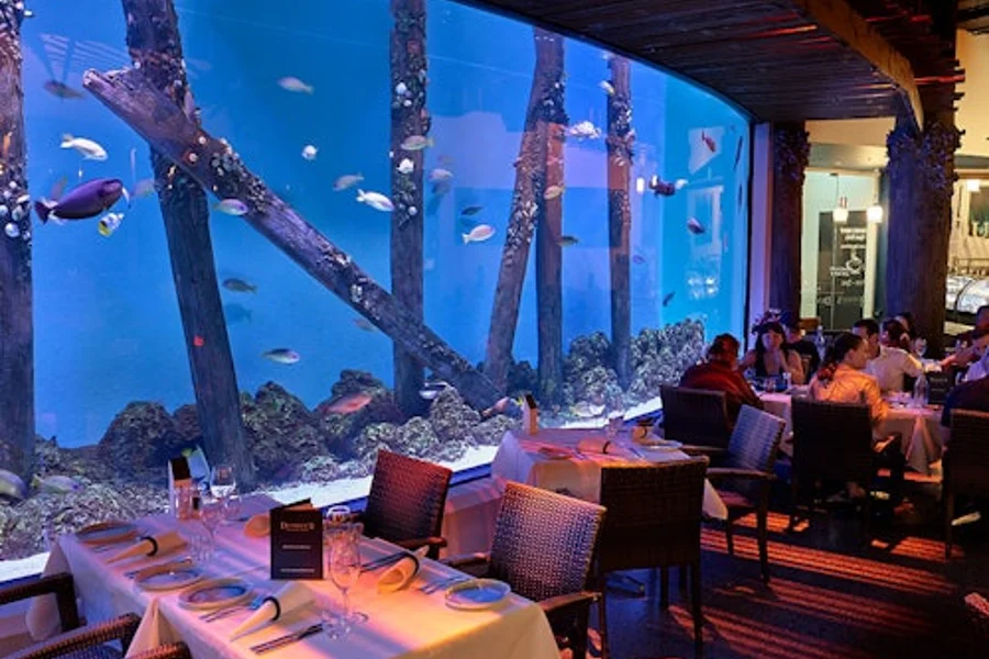 ケアンズ水族館のトワイライトディナー付き, Cairns