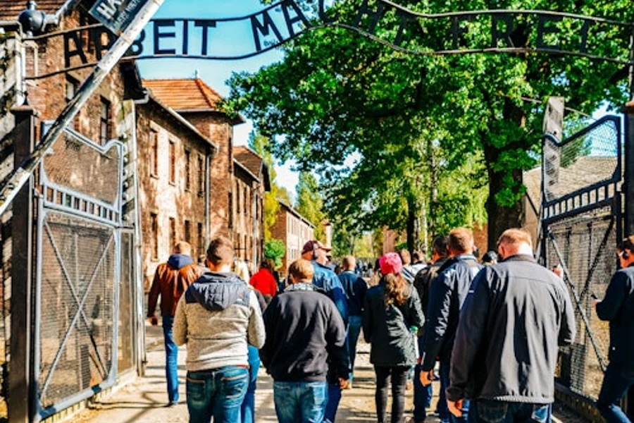 Auschwitz-Birkenau: Guidet Tur + Transport, Auschwitz