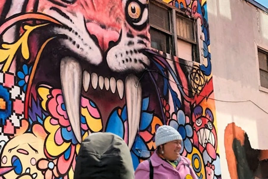 Montreal: Murals Walking Tour, Montreal