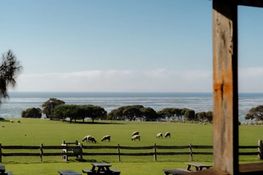 Phillip Island: Churchill Island Entry Ticket, Cowes