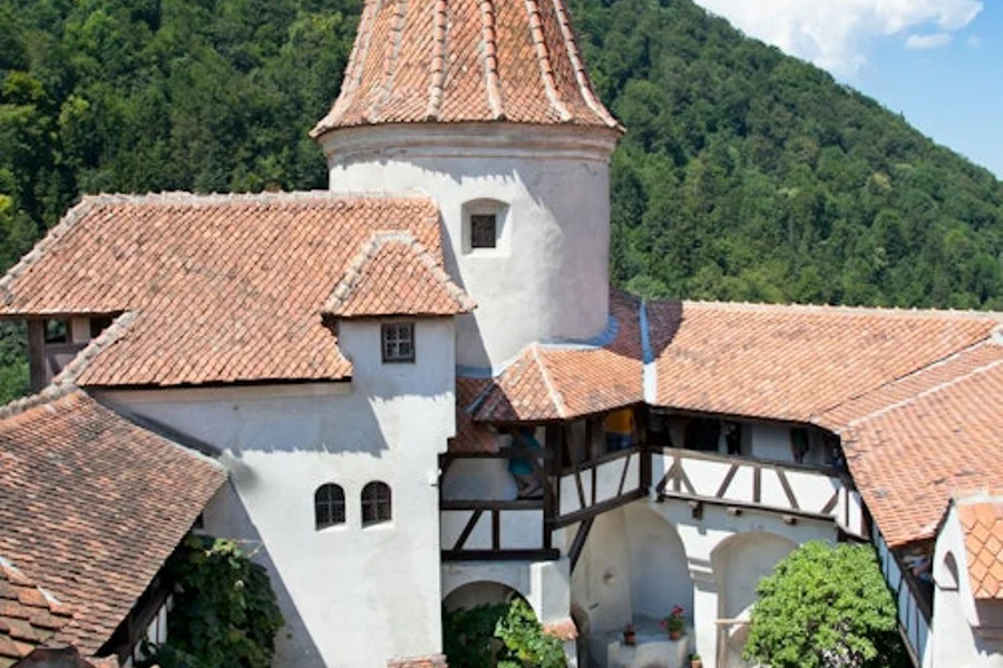 Castillo de Drácula: Entrada + Visita Guiada, Bran