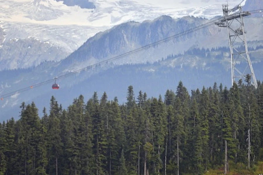 Whistler & Sea to Sky Gondola: Day Trip from Vancouver, Vancouver