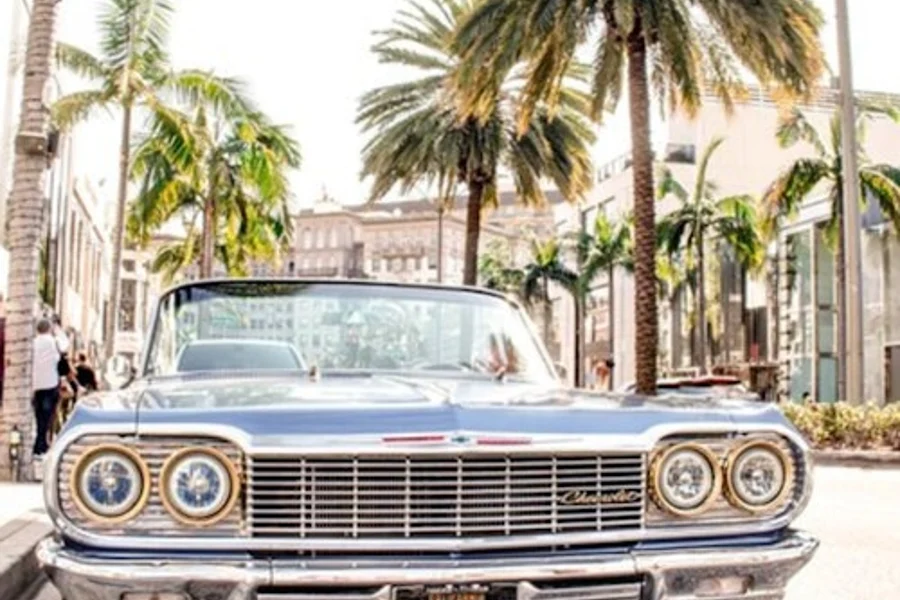 Los Angeles: Guided Lowrider City Tour, Los Angeles