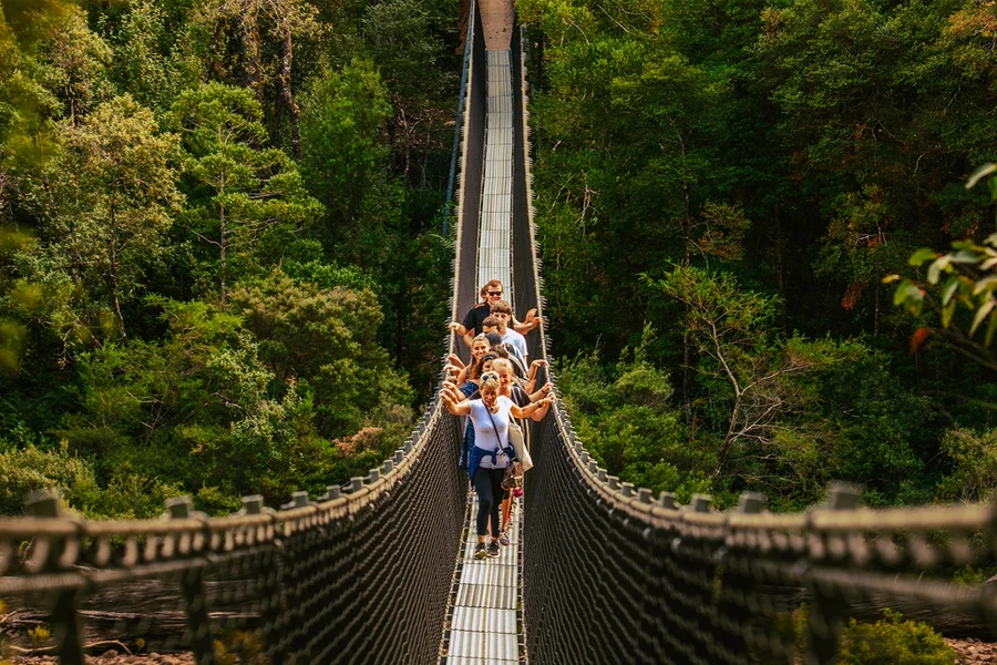全天导游带领的塔胡恩空中步道和黑斯廷斯洞穴之旅, Hobart